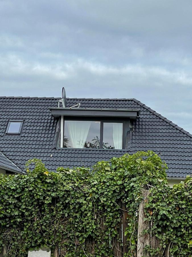Appartamento Uhse Wohlfuehloase Heide  Esterno foto